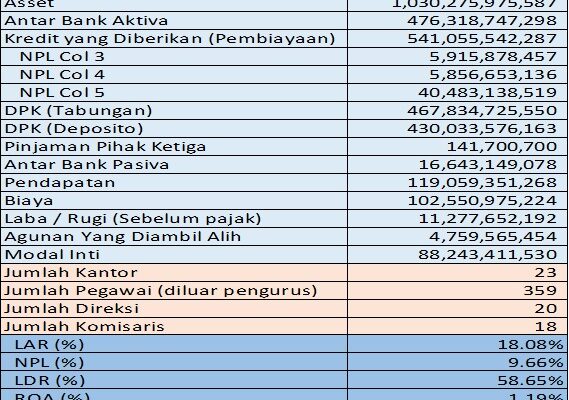 LDR BPR Bali Timur Rendah: Terus Diupayakan Tumbuh